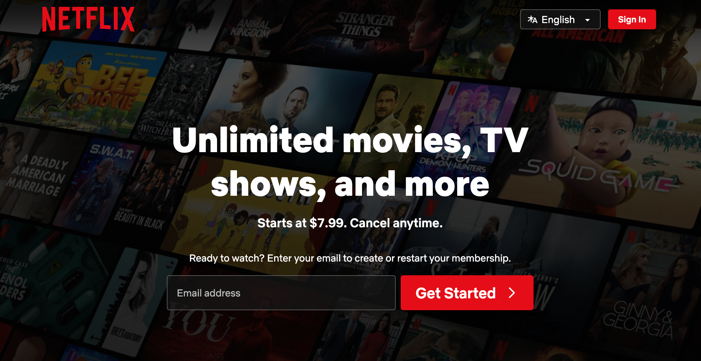 watch-netflix