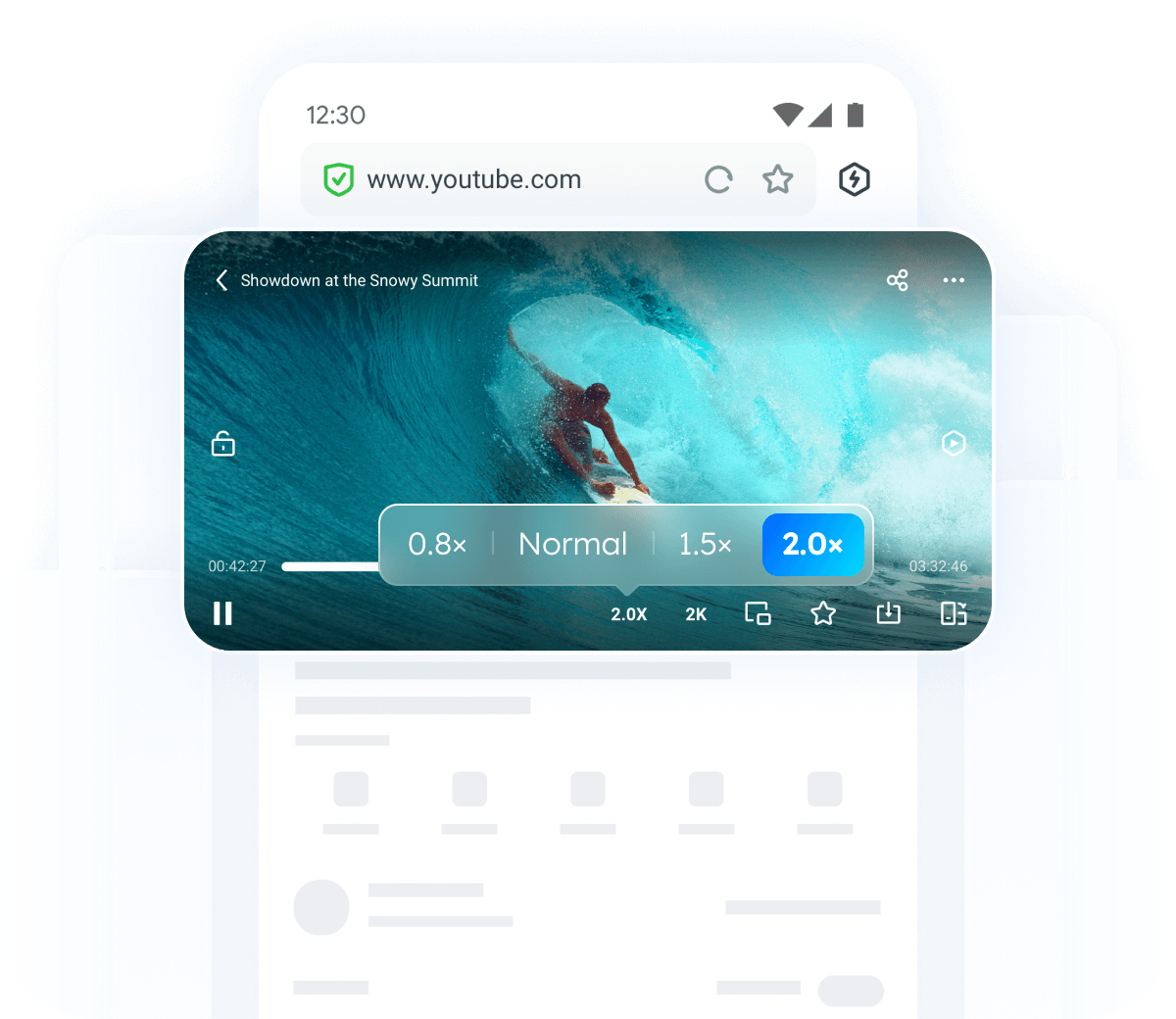 video-speed-option